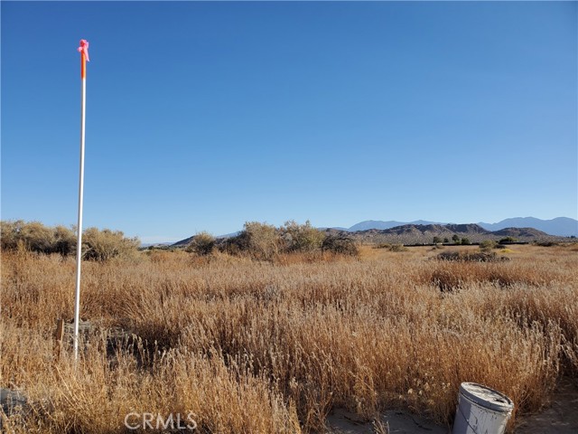 Detail Gallery Image 1 of 4 For 2 Ac Near 150th St, Palmdale,  CA 93591 - – Beds | – Baths