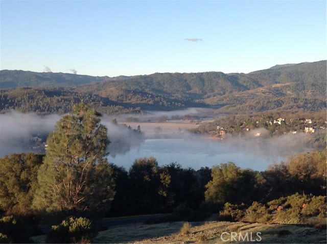 Misty morning views...