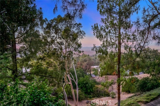 Detail Gallery Image 39 of 47 For 6587 E via Arboles, Anaheim Hills,  CA 92807 - 4 Beds | 2/1 Baths