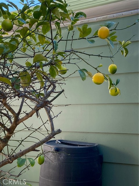 Detail Gallery Image 27 of 73 For 1595 Los Osos Valley Rd 8a,  Los Osos,  CA 93402 - 2 Beds | 2 Baths