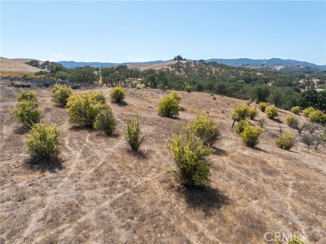 27 Wellsona Road, Paso Robles CA: https://media.crmls.org/medias/f3942384-b84c-4321-bfe3-32ff1a167f50.jpg
