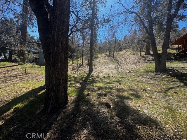 Detail Gallery Image 9 of 15 For 0 Oriole Rd, Wrightwood,  CA 92397 - – Beds | – Baths