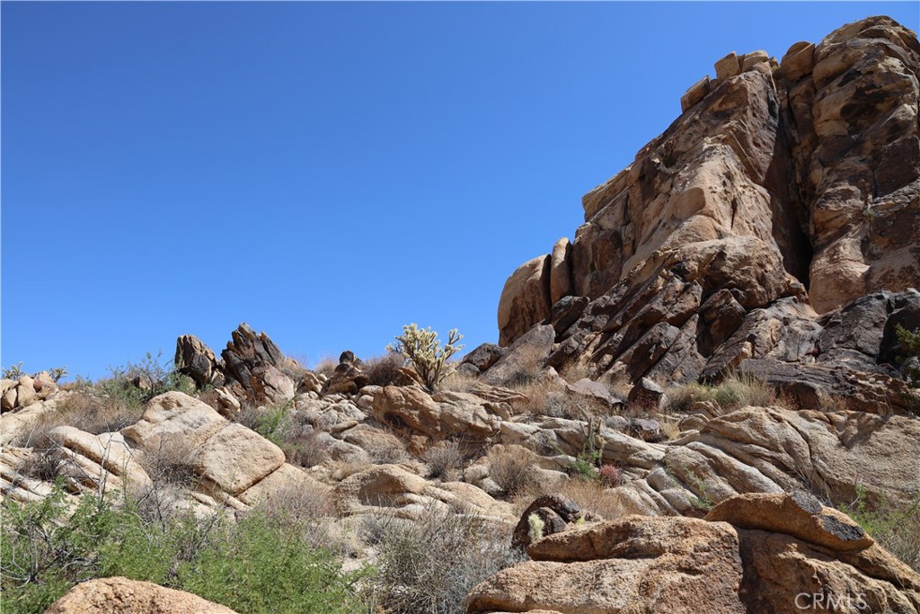 MLS #JT25234703 image #10