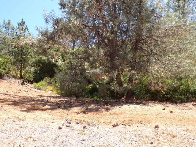3440 Westridge Drive, Kelseyville CA: https://media.crmls.org/medias/f397f7ae-2d3c-4cef-8943-3a10b57c7eef.jpg