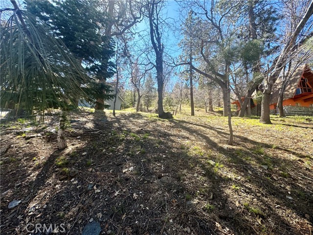 Detail Gallery Image 12 of 15 For 0 Oriole Rd, Wrightwood,  CA 92397 - – Beds | – Baths