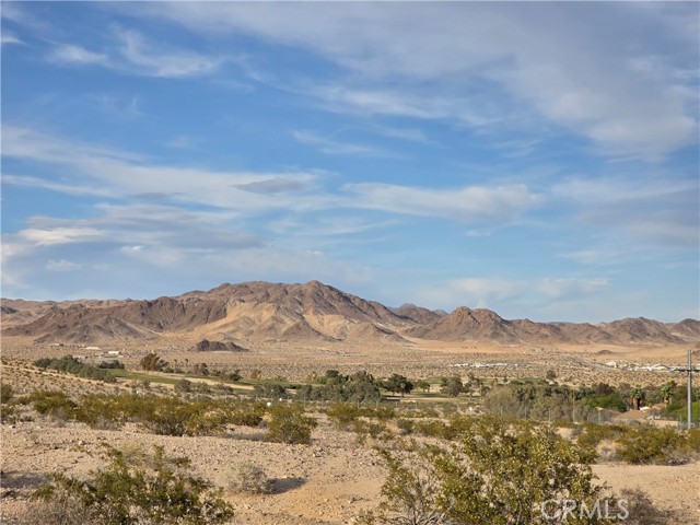 Detail Gallery Image 4 of 7 For 0 Brant Xing Rd, Twentynine Palms,  CA 92277 - – Beds | – Baths