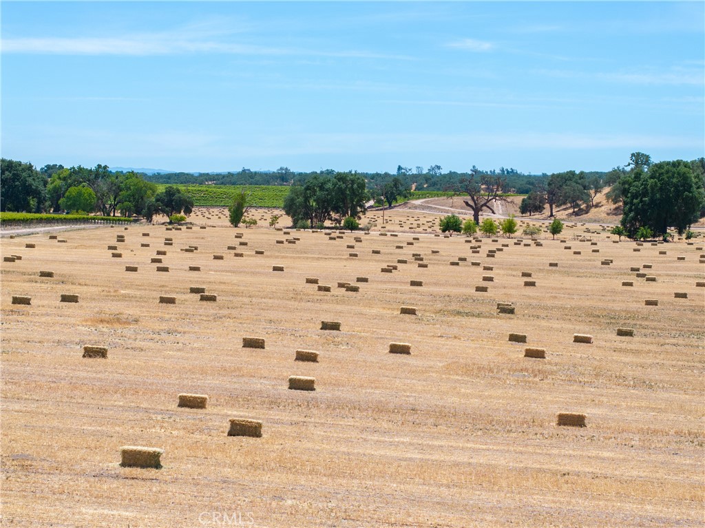 MLS #NS25115612 image #22