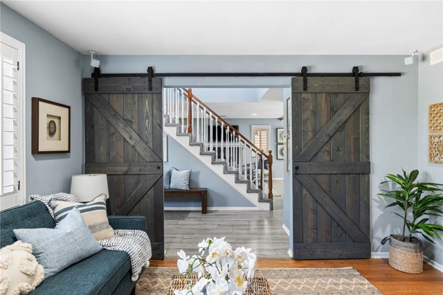 Double barn doors of Living Room