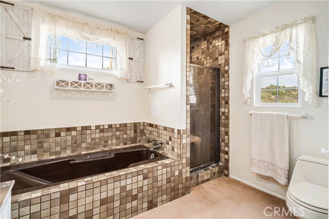 28132 Oak Spring Canyon, Canyon Country CA: https://media.crmls.org/medias/f3abc636-a66a-4bf2-9393-ee337bca558b.jpg