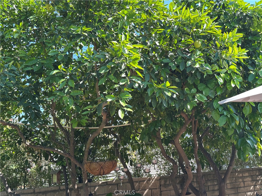 https://media.crmls.org/medias/f3af11cd-591f-4d46-9b57-5e7f23adc75a.jpg?preset=X-Large