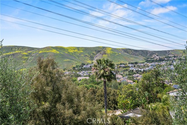 15 Pisano Street, Ladera Ranch CA: https://media.crmls.org/medias/f3af8dbe-e6b7-4741-9e68-1dea4aff7ed7.jpg