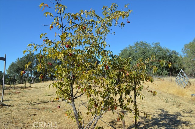 Detail Gallery Image 10 of 53 For 6765 S State Highway 29, Kelseyville,  CA 95451 - 2 Beds | 2 Baths