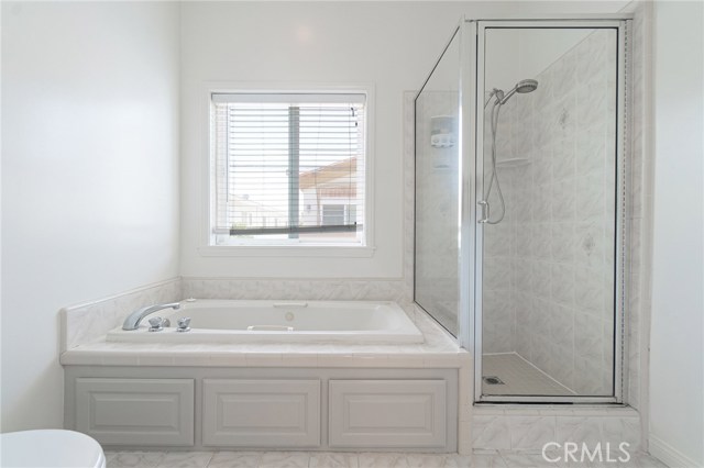 Master bath with Jacuzzi tub and free standing shower