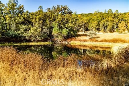 Detail Gallery Image 36 of 54 For 4816 Stumpfield Mountain Rd, Mariposa,  CA 95338 - 2 Beds | 2 Baths