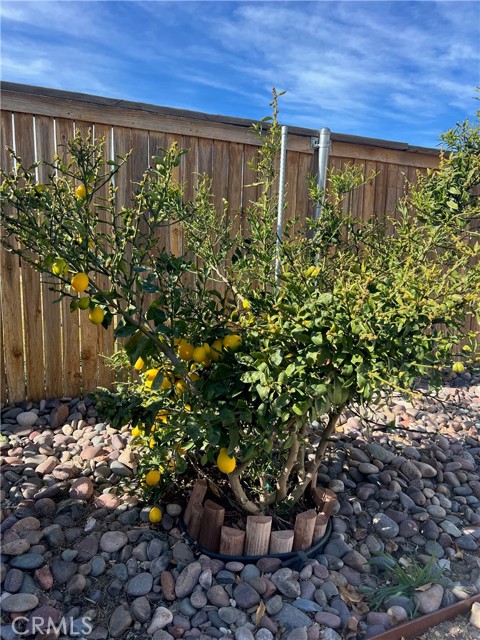 Detail Gallery Image 30 of 34 For 1433 Fallbrook, Beaumont,  CA 92223 - 3 Beds | 2 Baths