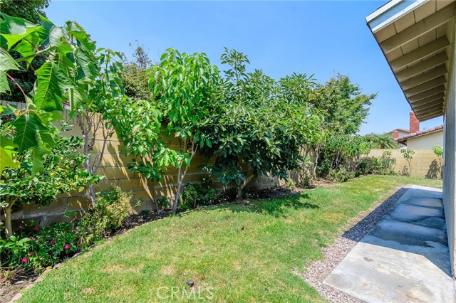 Backyard with lots of mature fruit trees