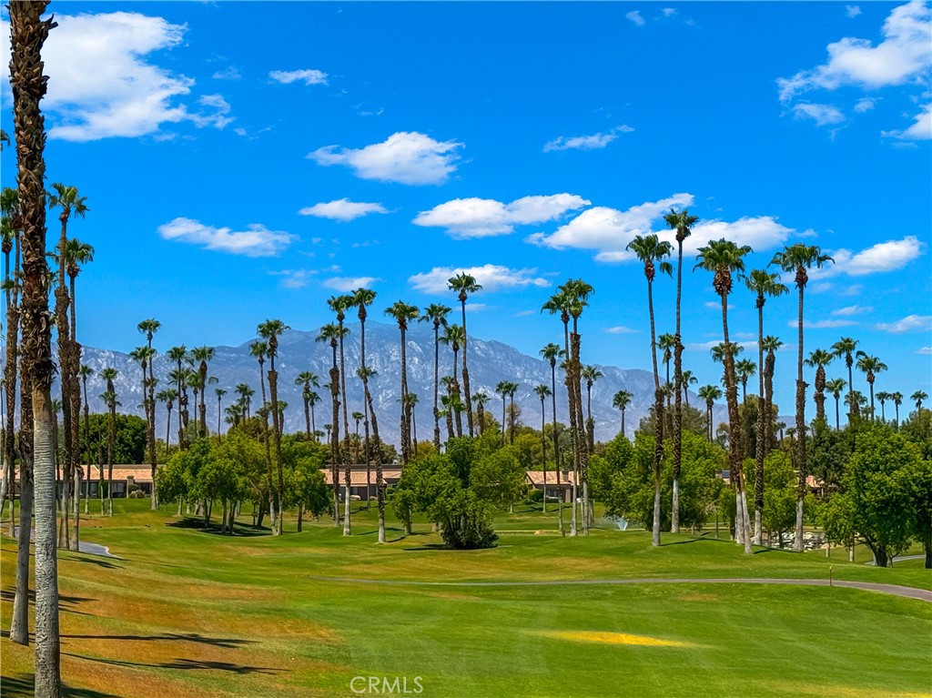 MLS #OC25168664 img 37