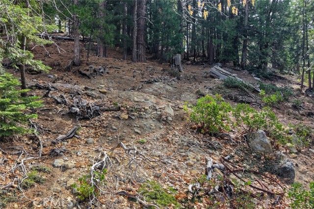 Detail Gallery Image 7 of 24 For 7486 Henness Ridge, Yosemite,  CA 95389 - – Beds | – Baths