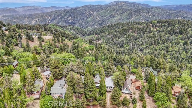 Detail Gallery Image 37 of 39 For 1954 Nob Hill Dr, Running Springs,  CA 92382 - 4 Beds | 2 Baths