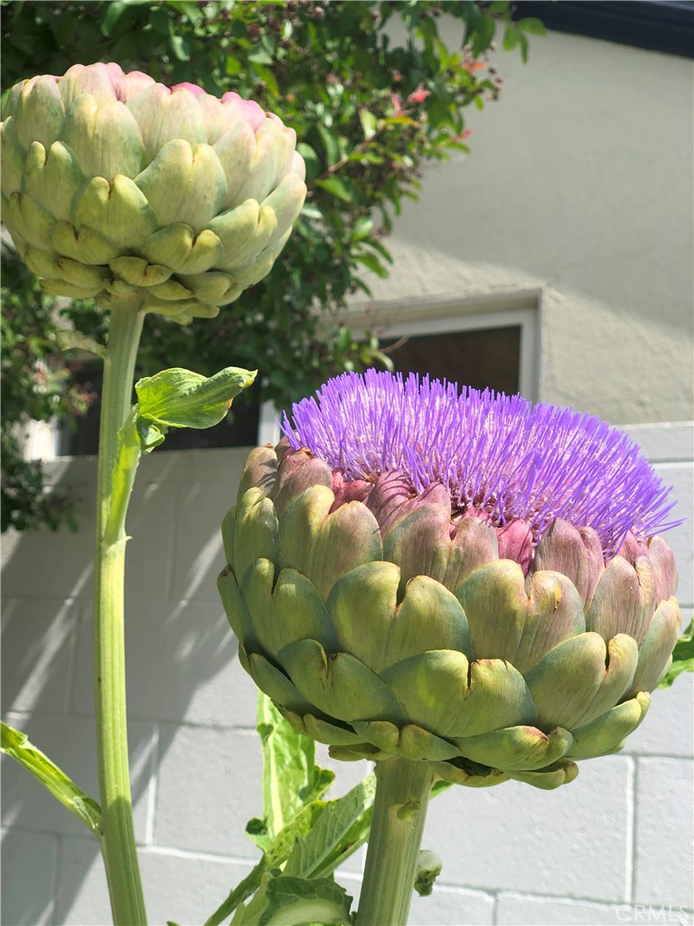 https://media.crmls.org/medias/f3c2b008-cfc3-4228-a2a2-a083a138ac57.jpg?preset=X-Large