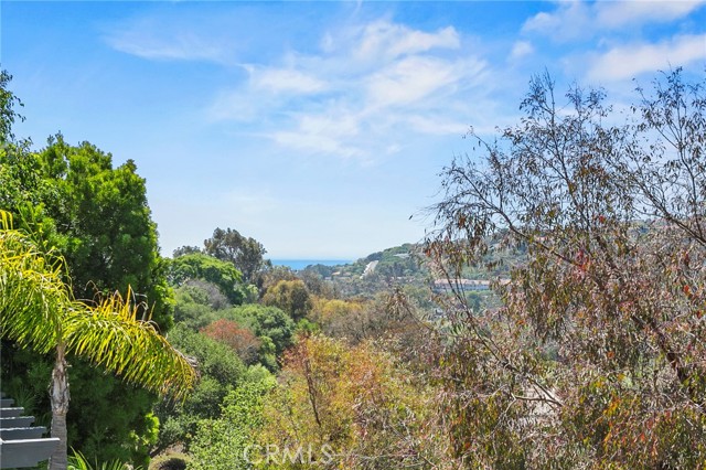55 S Peak, Laguna Niguel CA: https://media.crmls.org/medias/f3c7bc4b-6ac1-44c2-8f45-ab0946faf354.jpg