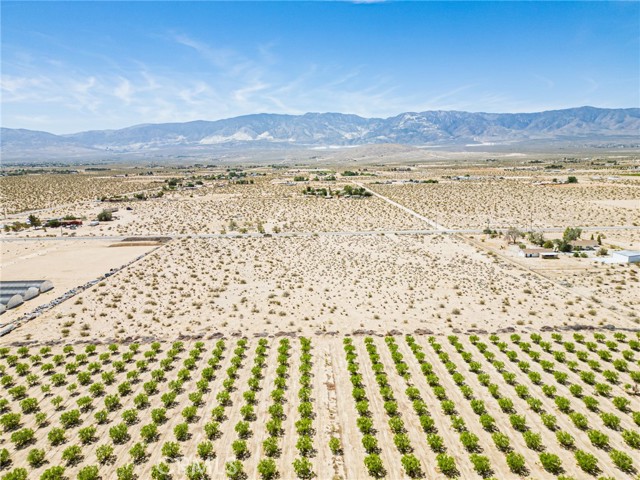 34700 Rabbit Springs Road, Lucerne Valley CA: https://media.crmls.org/medias/f3c84865-2a3e-4b43-8a07-a40f74f4ef9e.jpg