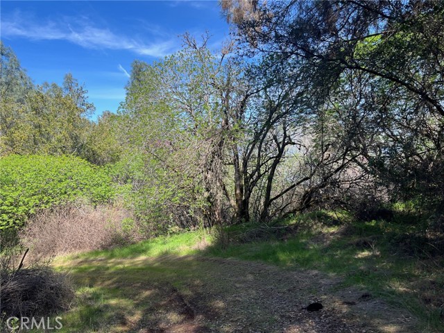 Detail Gallery Image 4 of 5 For 6189 Soda Bay, Kelseyville,  CA 95451 - – Beds | – Baths