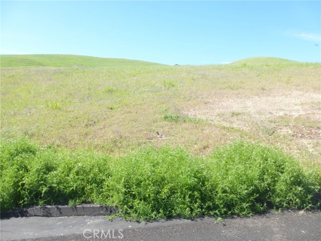 Detail Gallery Image 35 of 44 For 0 Douglas Rd. (Lot 34), San Miguel,  CA 93451 - – Beds | – Baths