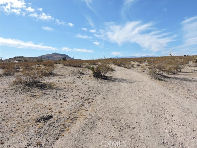 Detail Gallery Image 14 of 15 For 0 Stonehill Ave, Joshua Tree,  CA 92252 - – Beds | – Baths