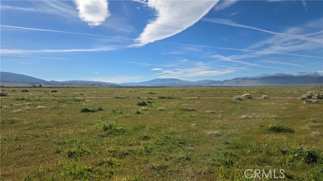 Detail Gallery Image 28 of 36 For 0 Vicinity Ave B12 & 265th St W, –,  CA 93536 - – Beds | – Baths