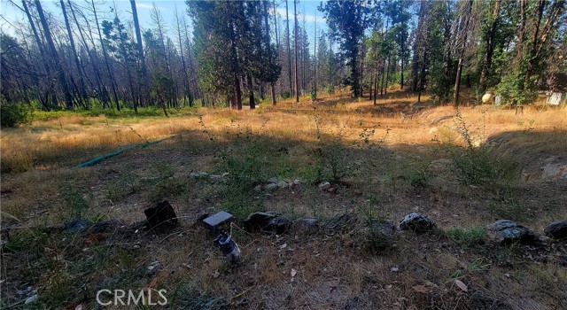 70 Ermarie, Berry Creek, CA, 95916 70 Ermarie, Berry Creek, CA, 95916