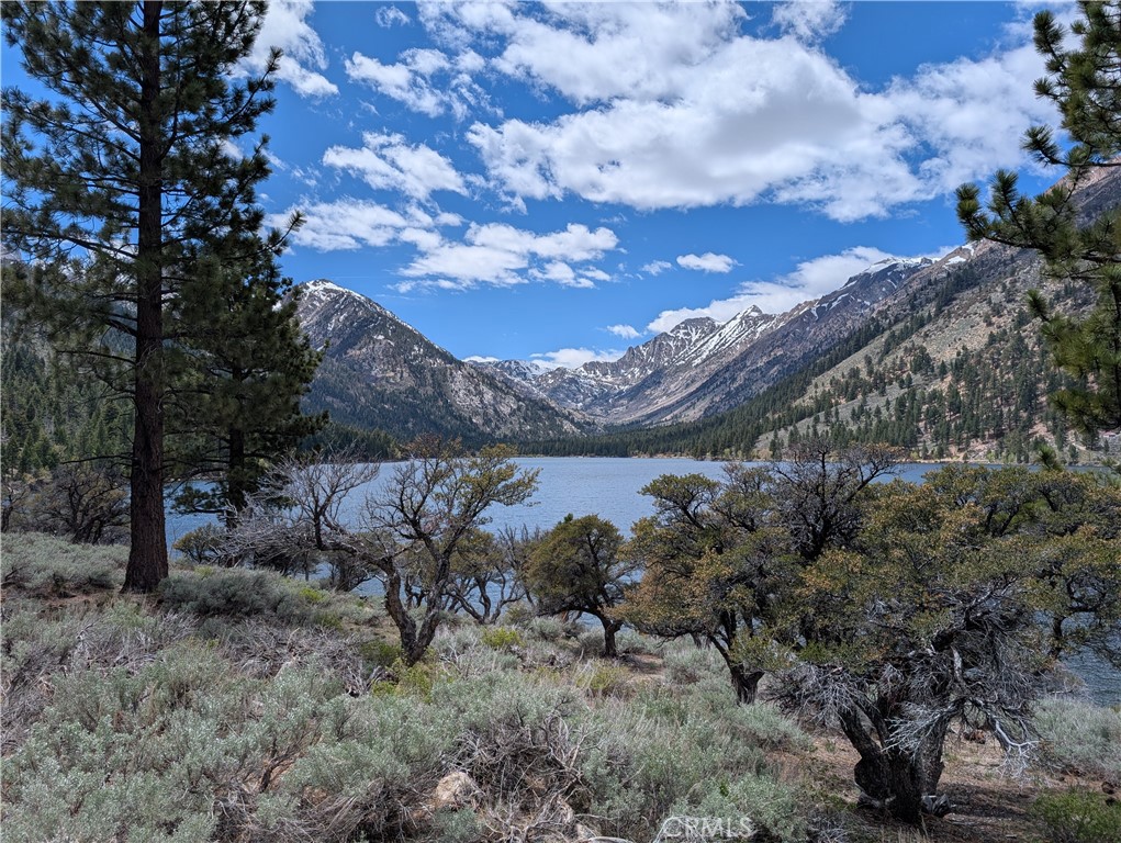 https://media.crmls.org/medias/f3d6d914-3f5b-44c9-94cd-0a65eef158e2.jpg?preset=X-Large