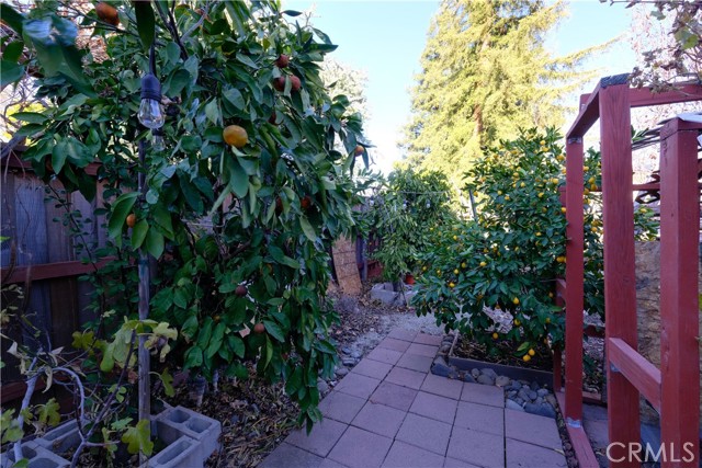 Detail Gallery Image 21 of 21 For 844 Verbena Ave, Chico,  CA 95926 - 3 Beds | 2 Baths