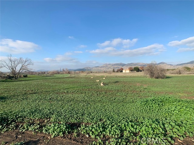 Detail Gallery Image 4 of 5 For 0 Ave 140, Porterville,  CA 93257 - – Beds | – Baths