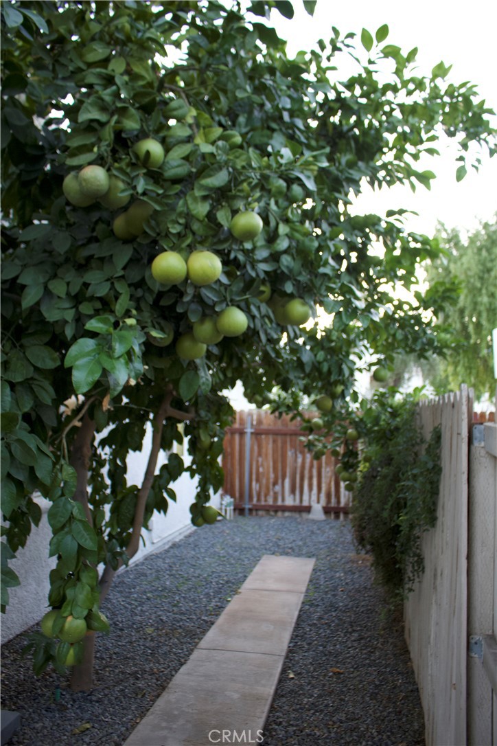 MLS #SB25246329 image #39