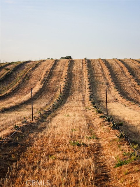 Detail Gallery Image 5 of 23 For 2980 Pleasant Rd, San Miguel,  CA 93451 - – Beds | – Baths