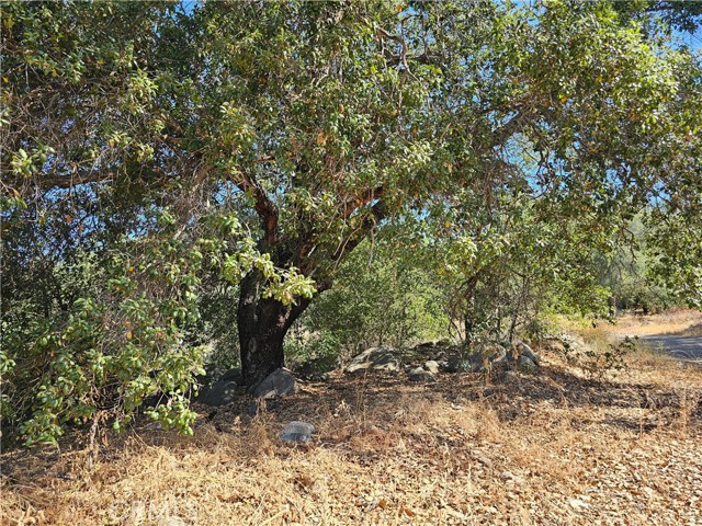 Detail Gallery Image 4 of 10 For 0 Highway 76, Pauma Valley,  CA 92061 - – Beds | – Baths
