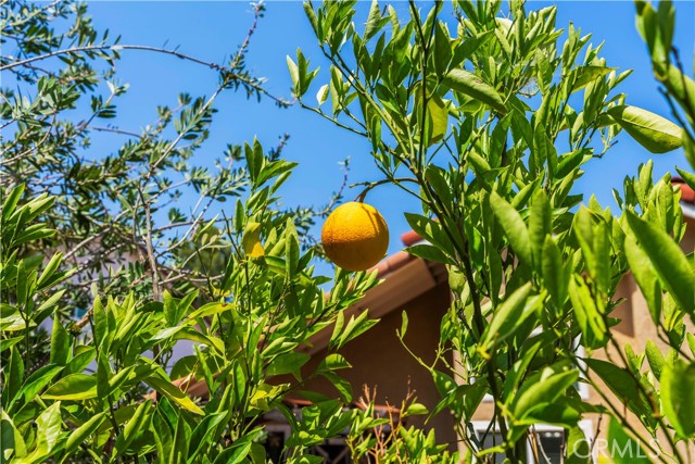 Detail Gallery Image 21 of 23 For 26816 Cold Springs St, Calabasas,  CA 91301 - 3 Beds | 3 Baths