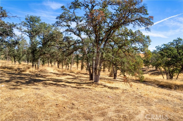 16456 34th Avenue, Clearlake, California 95422, ,Land,For Sale,16456 34th Avenue,CRLC24007666