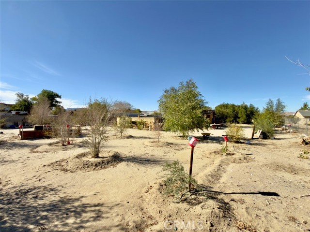 40912 168th E, Lancaster CA: https://media.crmls.org/medias/f401d84b-6be9-4a80-88ee-e221c29e642f.jpg