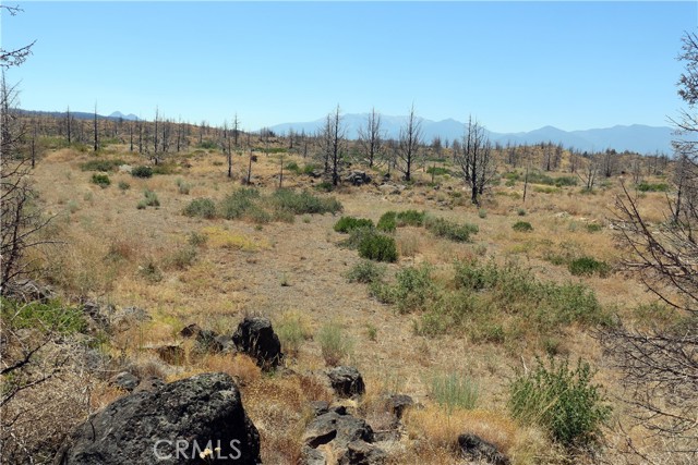 Detail Gallery Image 3 of 15 For 0 Juniper Valley Dr, Weed,  CA 96094 - – Beds | – Baths