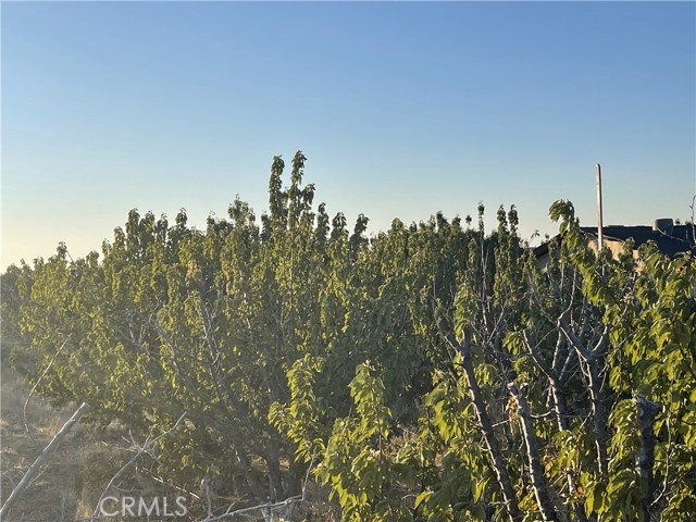 Detail Gallery Image 19 of 19 For 49750 Three Points Rd, Lancaster,  CA 93536 - 3 Beds | 2 Baths