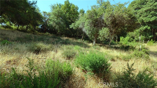 Detail Gallery Image 4 of 6 For 9523 Tenaya Way, Kelseyville,  CA 95451 - – Beds | – Baths