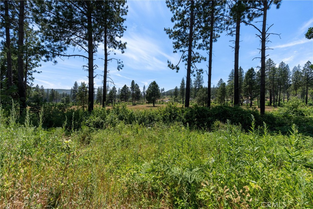 MLS #SN25260902 image #8