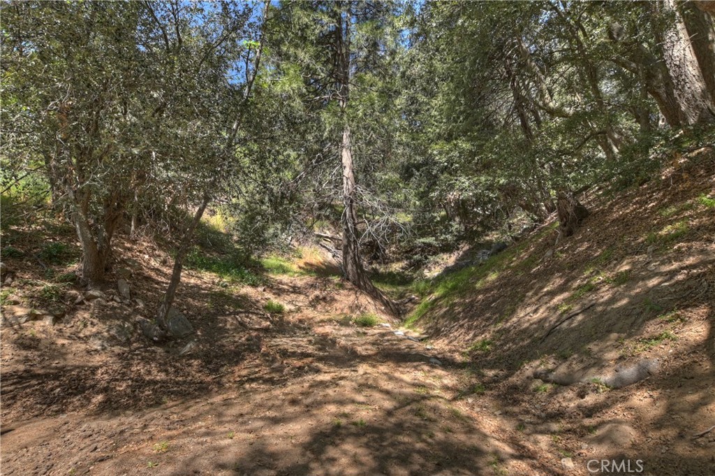 MLS #IG25231180 image #30