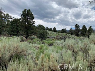 0 Ponderosa, Big Bear City, California 92314, ,Land,For Sale,0 Ponderosa,CROC20150732