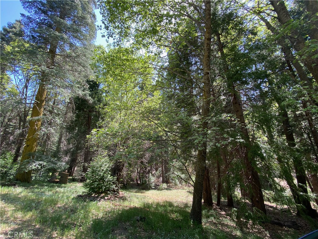 0 Cedarpines, Cedarpines Park, CA 92322