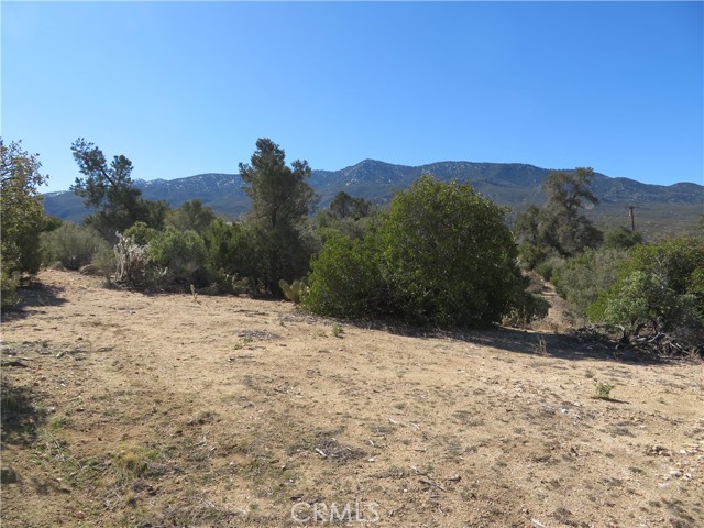 Detail Gallery Image 14 of 16 For 155 Lot #155 Buckthorn, Mountain Center,  CA 92561 - – Beds | – Baths