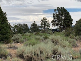 0 Ponderosa, Big Bear City, California 92314, ,Land,For Sale,0 Ponderosa,CROC20150732