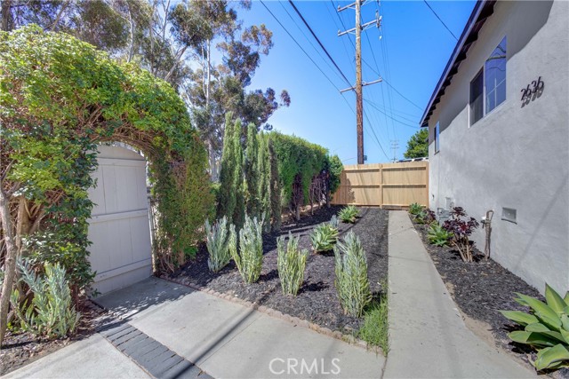 Front Yard